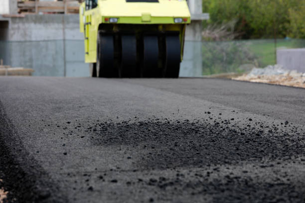 Best Driveway Pavers Contractor  in Lake Butler, FL