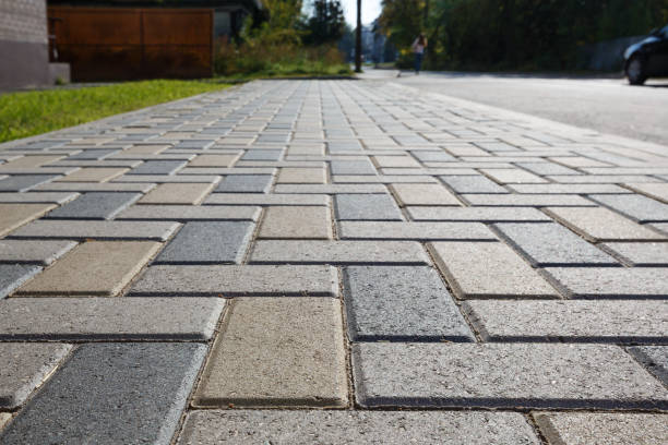 Best Decorative Driveway Pavers  in Lake Butler, FL