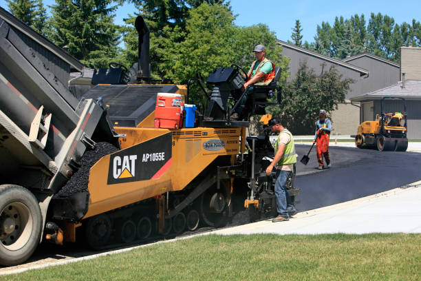 Best Custom Driveway Pavers  in Lake Butler, FL